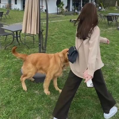 用琴弦说话